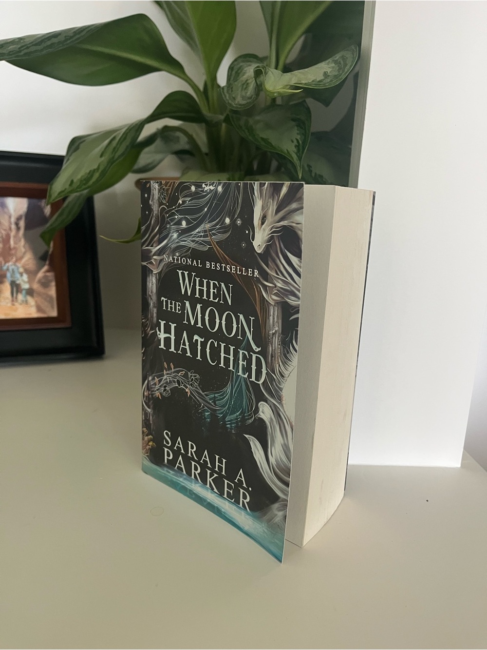 When the Moon Hatched by Sarah A. Parker - Black Cover Paperback